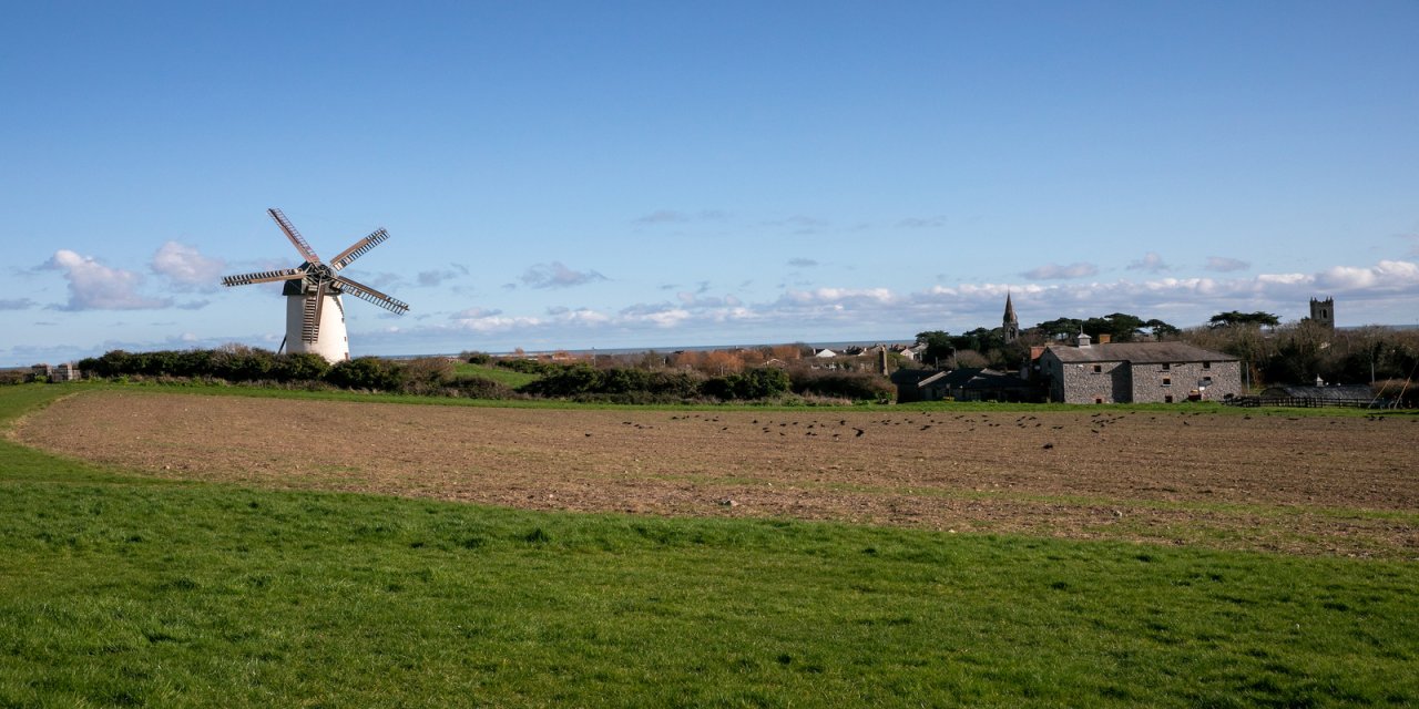 Blue bright skies with Wind mills in the left background. Greenery and hay in the foreground